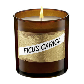 C.O. Bigelow Ficus Carica Candle