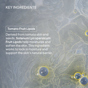 NIOD Hydro-Ester Cleaning System (HECS) - ingredients