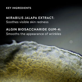 Niod Superoxide Dismutase 3 Enzyme Mist (SDEM3)