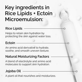 The Ordinary Rice Lipids + Ectoin Microemulsion Ultra-Lightweight Moisturizer  UK
